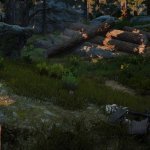 BLACK DESERT ONLINE ARRIVERA’ SU STEAM IL 24 MAGGIO