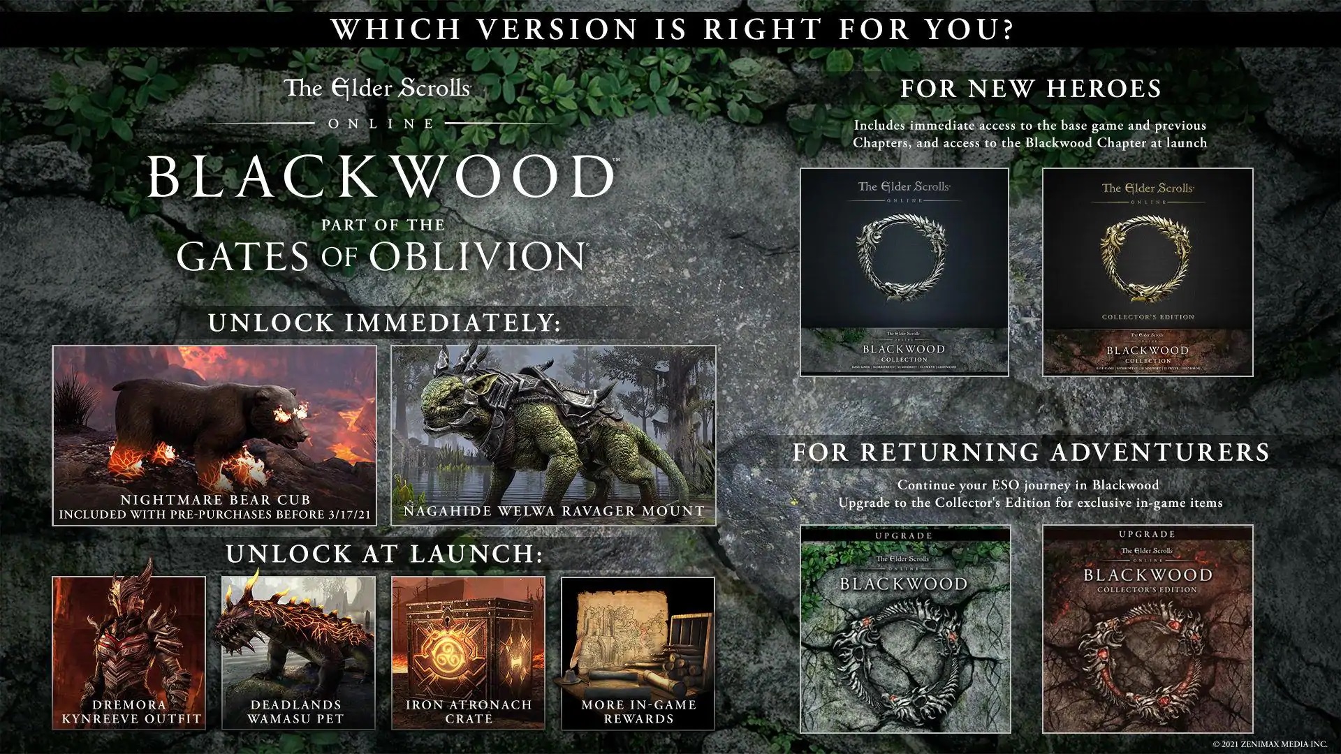 The Elder Scrolls Online Blackwood preorder ESO Blackwood preorder The Elder Scrolls Online gates of oblivion ESO gates of oblivion