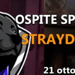 Stasera nuovo Salotto con un ospite speciale: StrayDogTV!